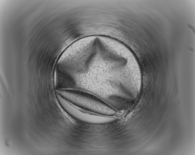 X0000097781521200803281650