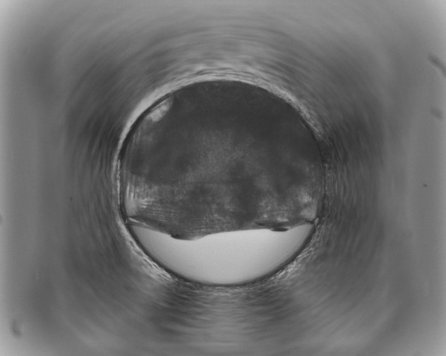 X0000097781522200803281650