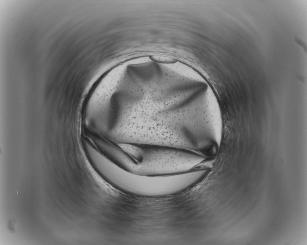 X0000097781523200803281650