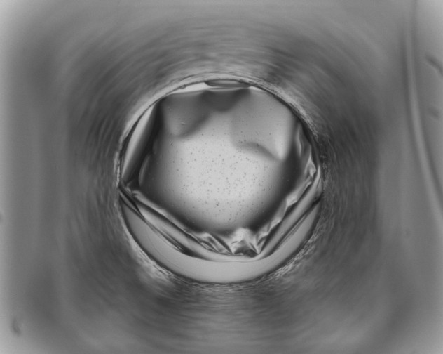 X0000097781524200803281650