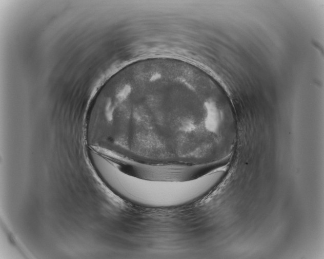 X0000097781525200803281650