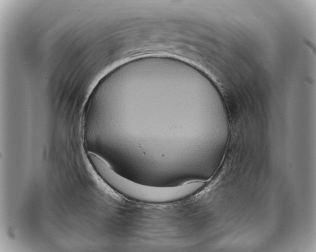 X0000097781526200803281650