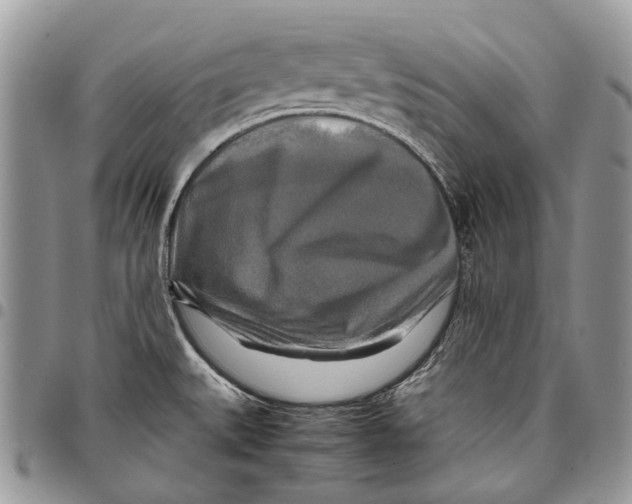 X0000097781527200803281650