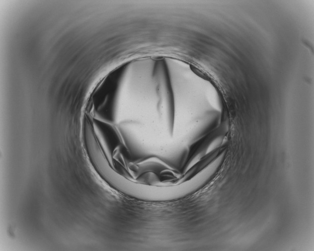 X0000097781528200803281650