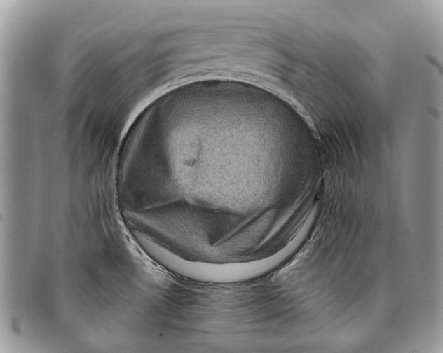 X0000097781530200803281650