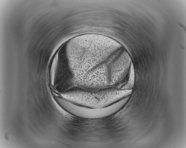 X0000097781531200803281650