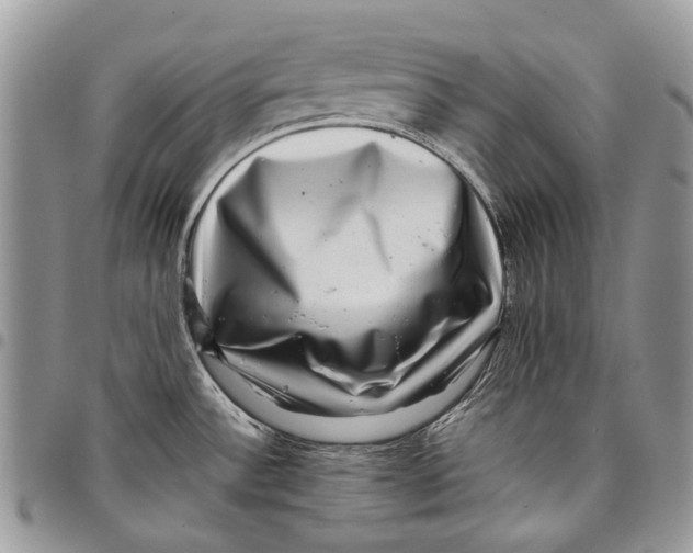 X0000097781532200803281650