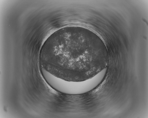 X0000097781533200803281650