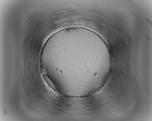 X0000097781534200803281650