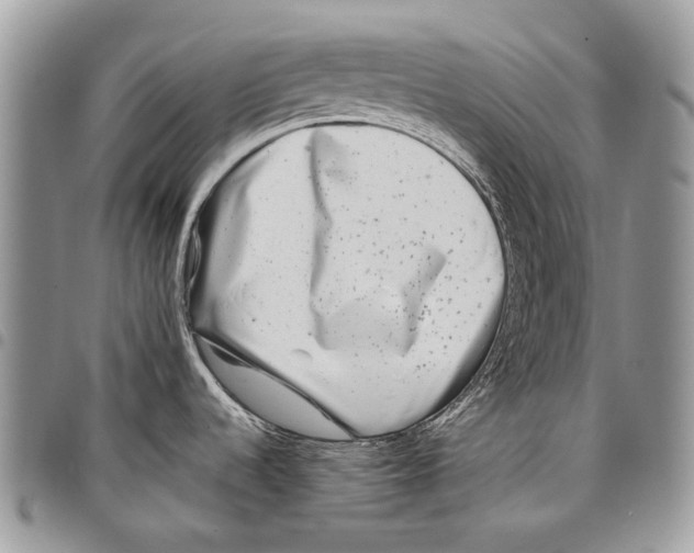 X0000097781536200803281650