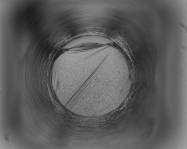 X0000097780001200804041224