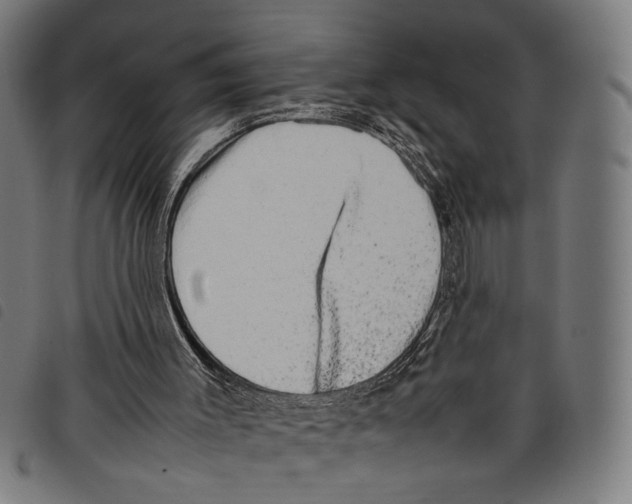 X0000097780003200804041224