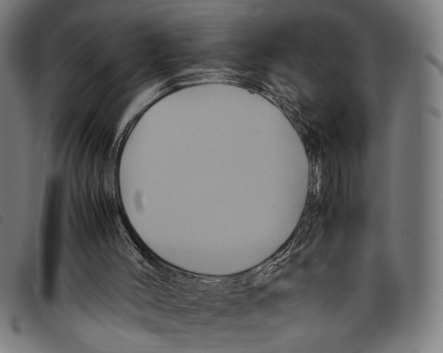 X0000097780004200804041224