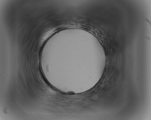 X0000097780005200804041224