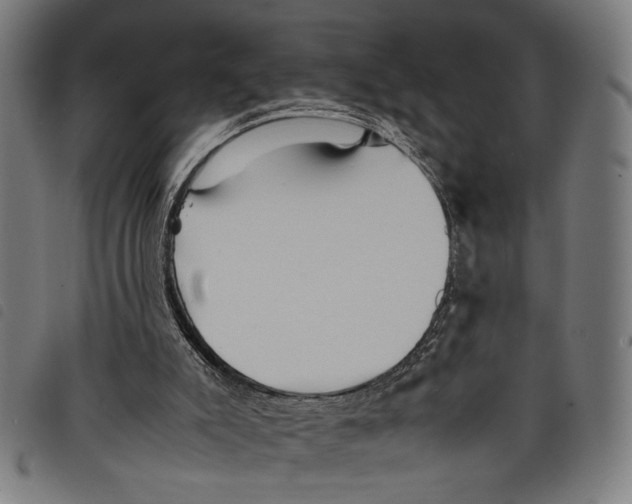 X0000097780007200804041224