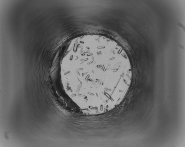 X0000097780009200804041224