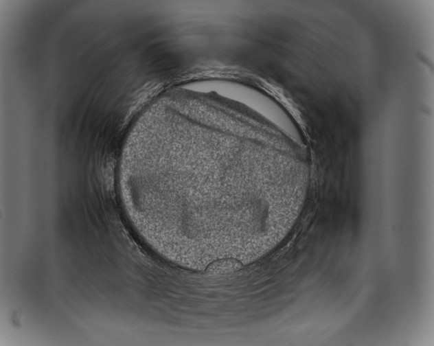 X0000097780010200804041224