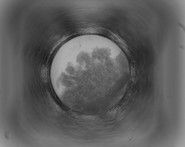 X0000097780012200804041224