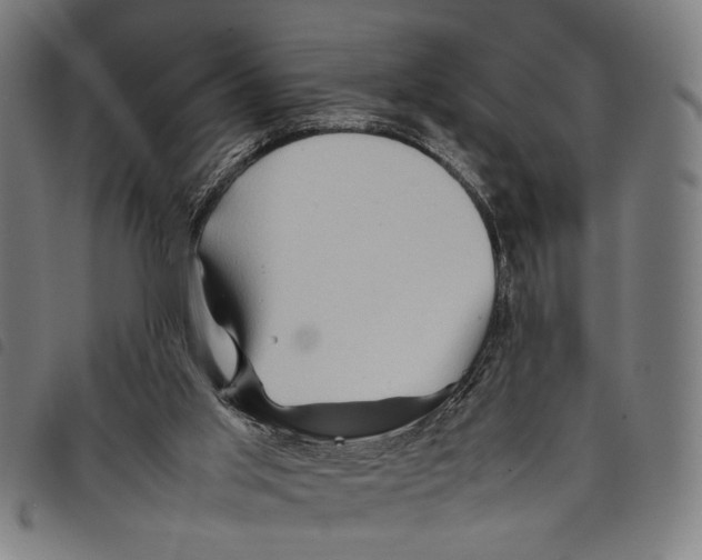 X0000097780013200804041224