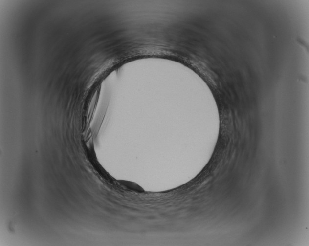 X0000097780015200804041223