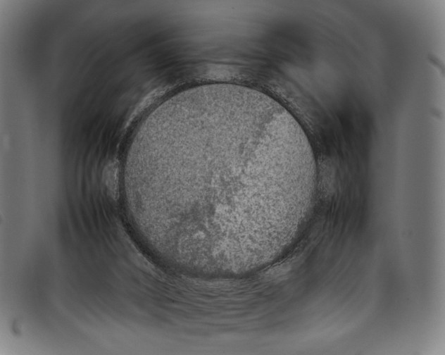 X0000097780016200804041223