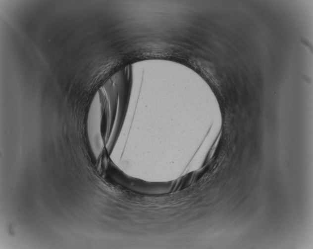 X0000097780017200804041223