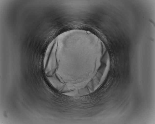 X0000097780018200804041223