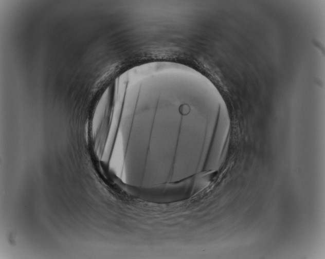 X0000097780019200804041223