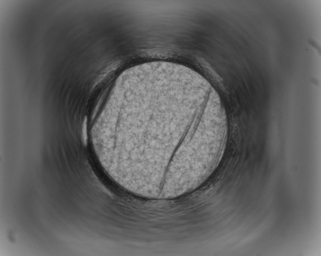 X0000097780020200804041223