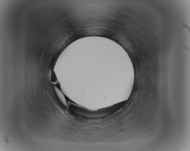 X0000097780021200804041223