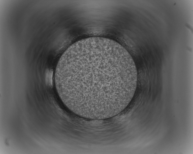 X0000097780024200804041223