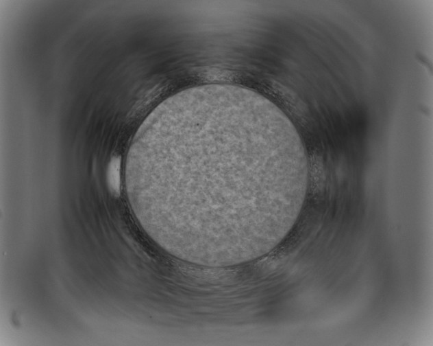 X0000097780028200804041223