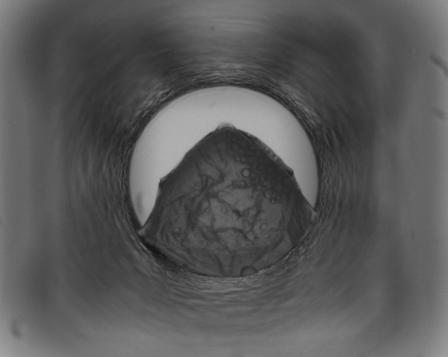 X0000097780031200804041223