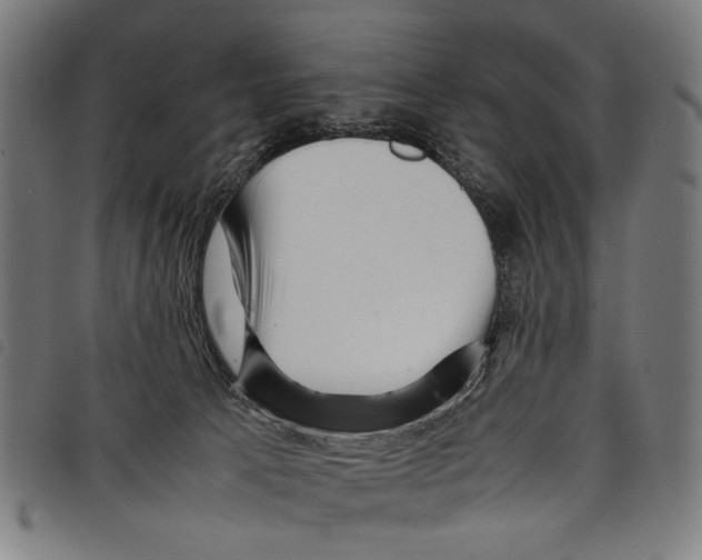 X0000097780033200804041223