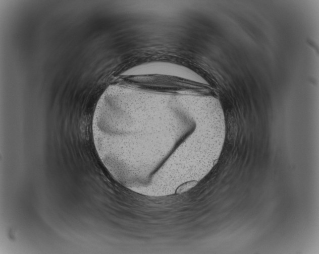 X0000097780034200804041223