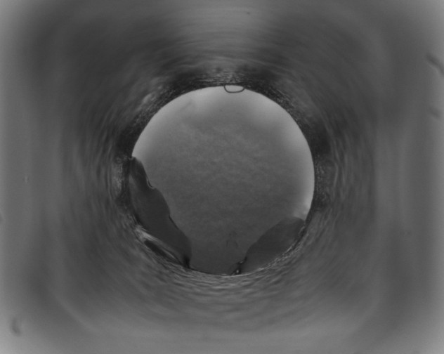 X0000097780035200804041223