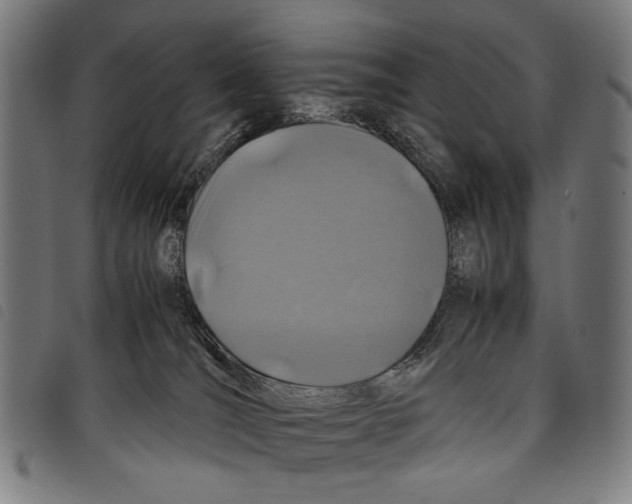 X0000097780036200804041223