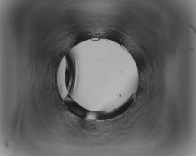 X0000097780037200804041223