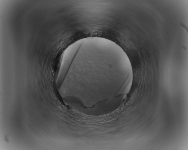 X0000097780039200804041223