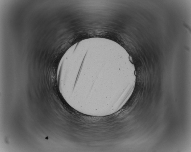 X0000097780040200804041223