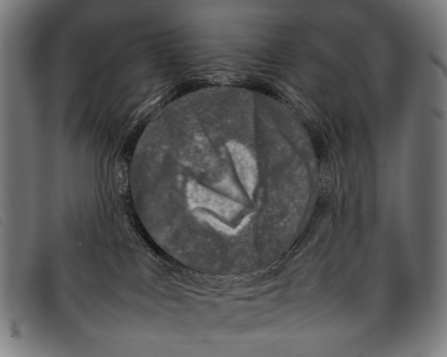 X0000097780043200804041223