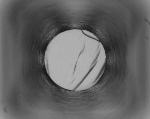 X0000097780044200804041223