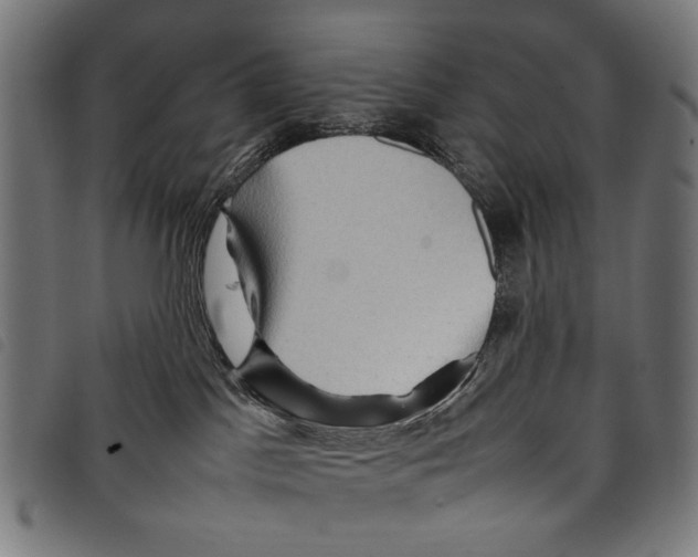 X0000097780045200804041223