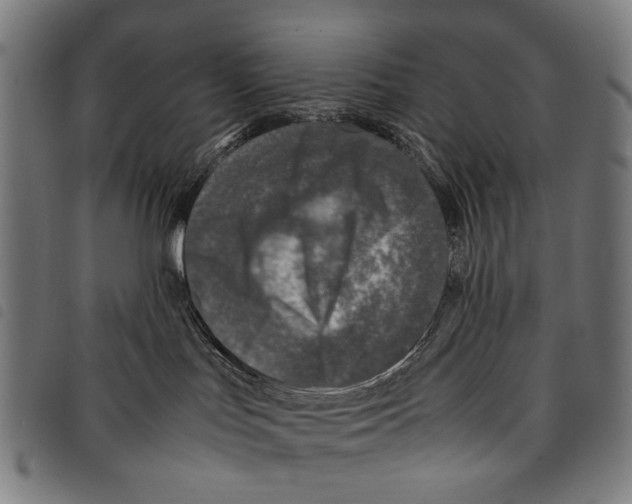 X0000097780047200804041223