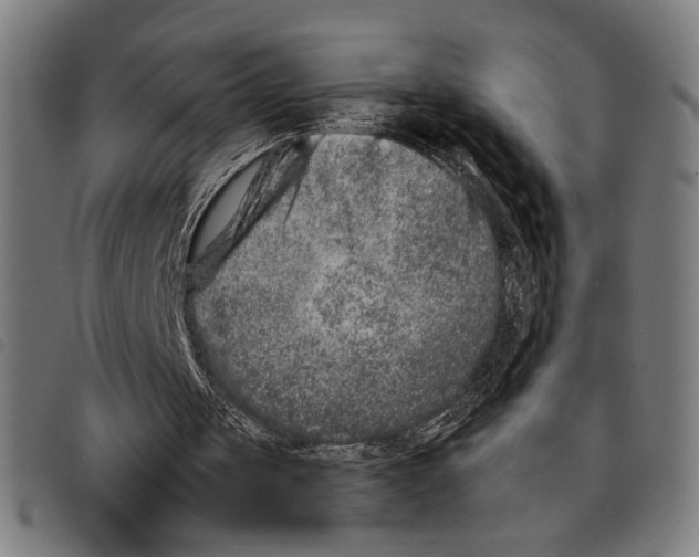 X0000097780049200804041222