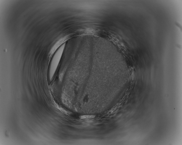 X0000097780051200804041222