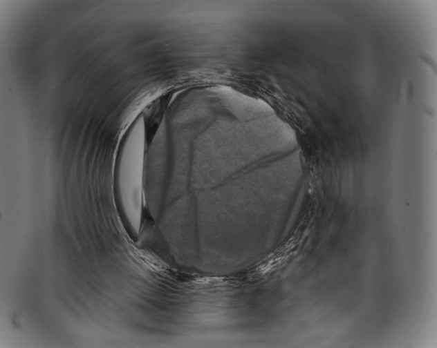 X0000097780052200804041222