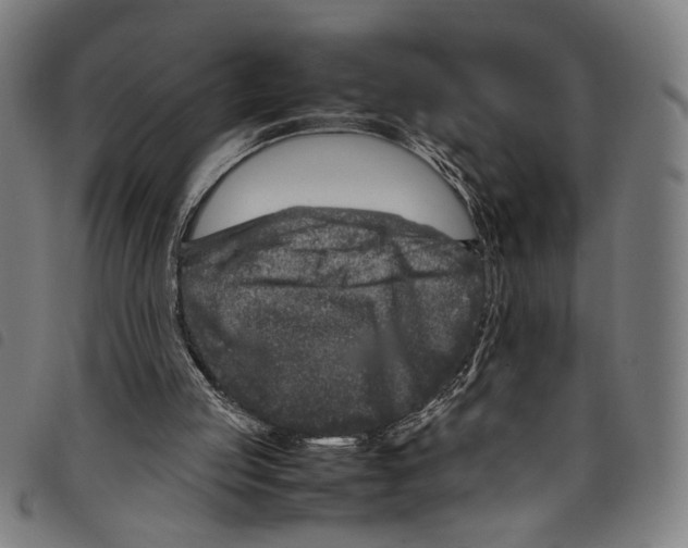 X0000097780053200804041222