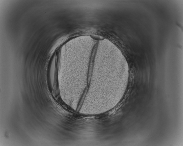 X0000097780054200804041222