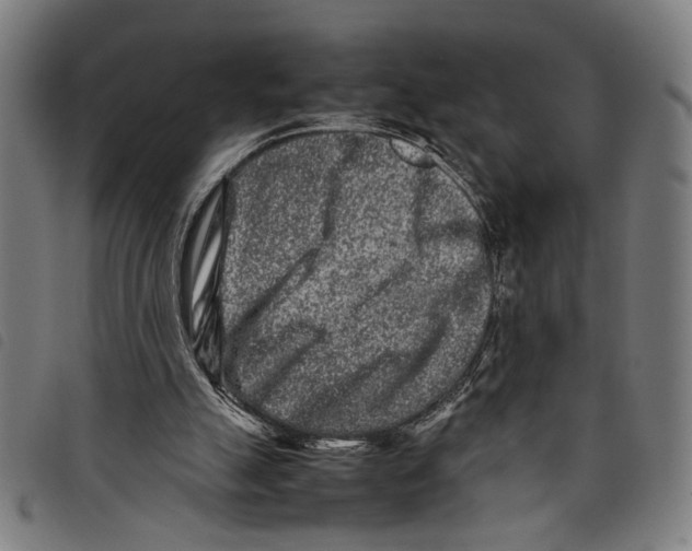 X0000097780055200804041222